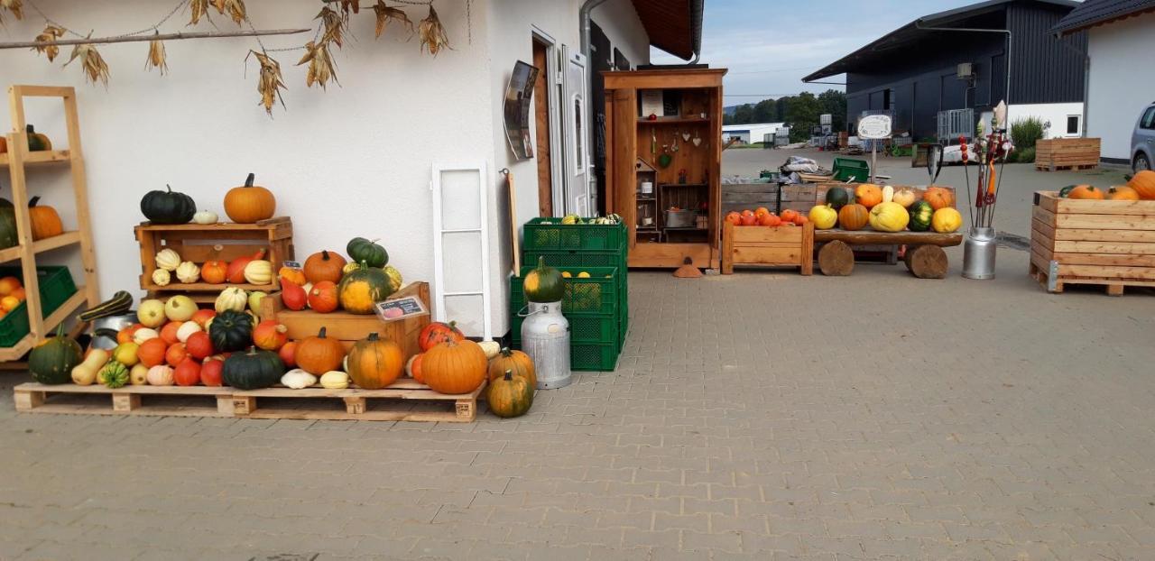 Einladende Ferienwohnung Auf Bauernhof In Sinzig Exterior foto